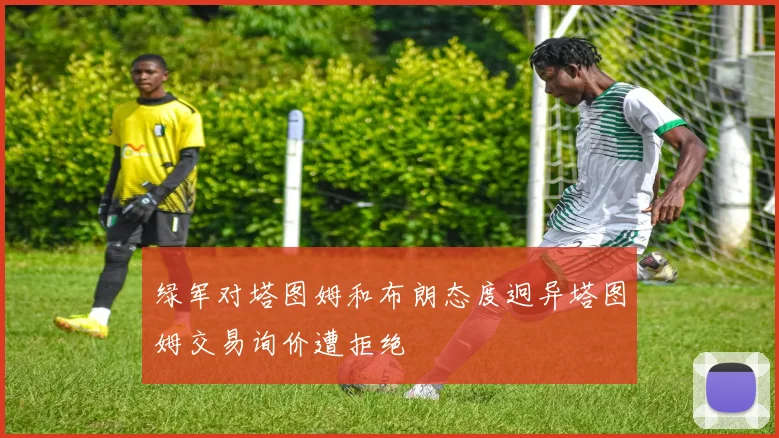 绿军对塔图姆和布朗态度迥异塔图姆交易询价遭拒绝
